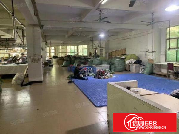 工业用地,大朗新出独院标准厂房6000平,现成装修,可分租