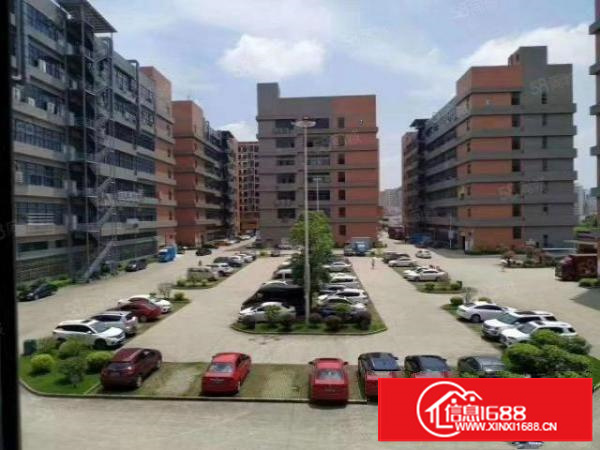 凤岗新出楼上1200平，现成装修办公室，水电齐全，好招工，