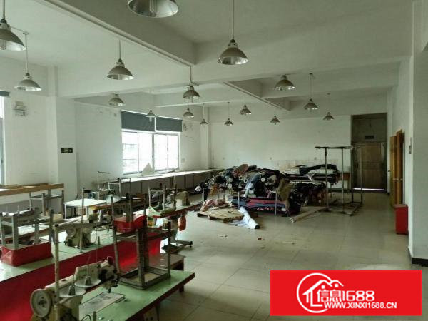 高埗镇花园式工业园区厂房出租一栋两层独栋1500平现成装修