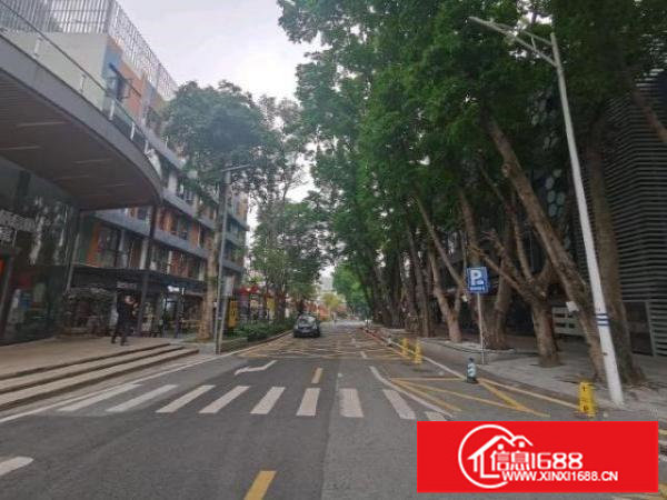 龙岗区布吉木棉湾200-2600平适合电商主播室教育机构清吧