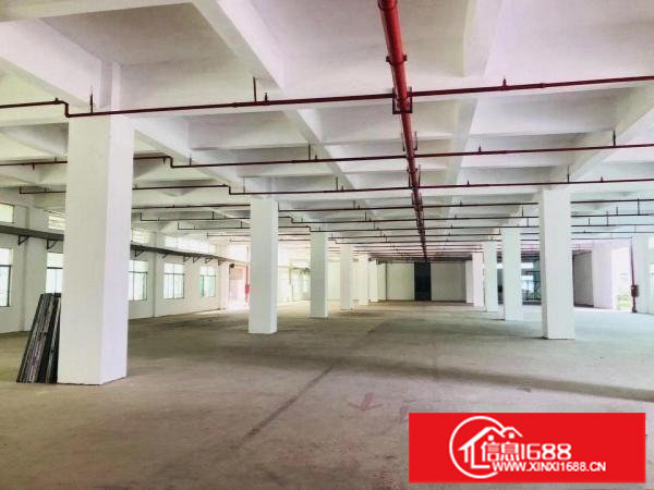 坪山同乐独栋厂房空地大