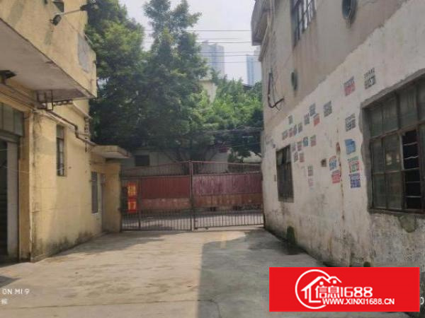 经典小独院！松岗沙浦二路125号整租1920平价格23