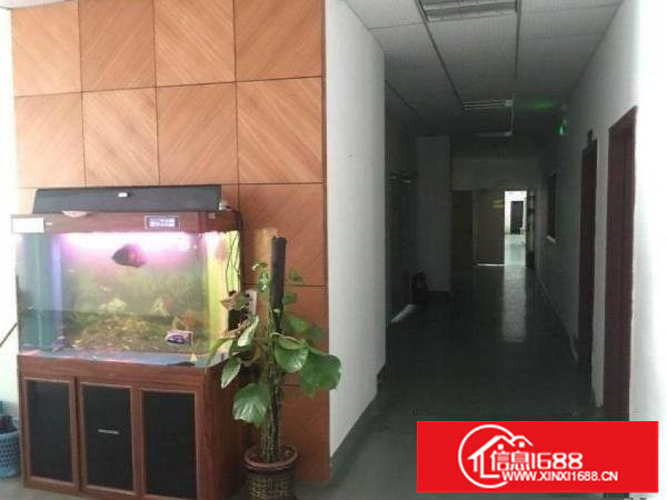 龙岗南联工业区新出炉楼上700平精装修厂房，无转让费