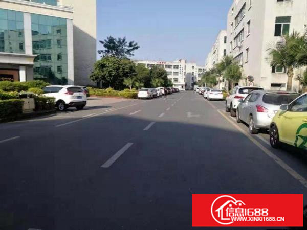 坂田天安云谷附近(原房东)现有1楼2000平厂房招租