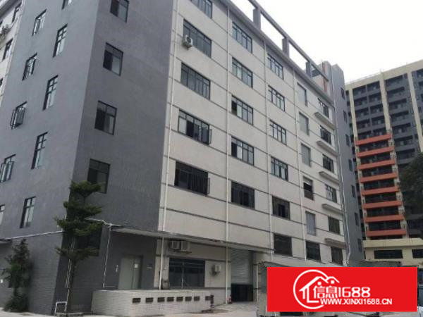 杨屋村新出园区标准楼上厂房出租，形象好，面积实量，价格实在！