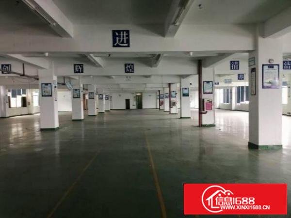 大岭山镇工业大道出租二楼带精装修800平厂房有办公室可分租