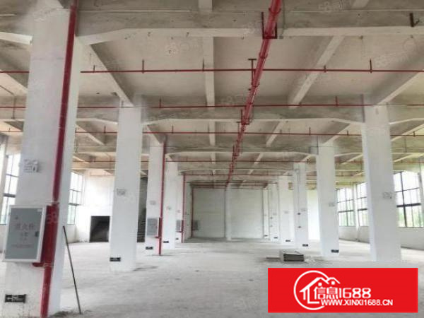 高明区荷城沿江路37号盛妮汽车创意园标准厂房出租。