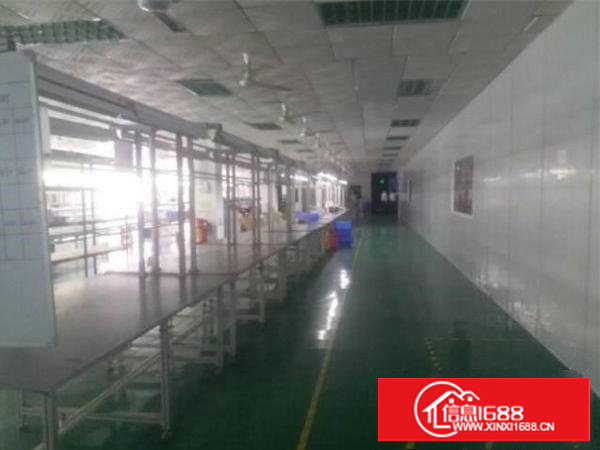 塘厦新出精装修厂房1900平出租，周边环境好易招工