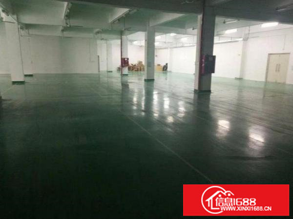 龙岗豪华装修1800平低价出租可分租