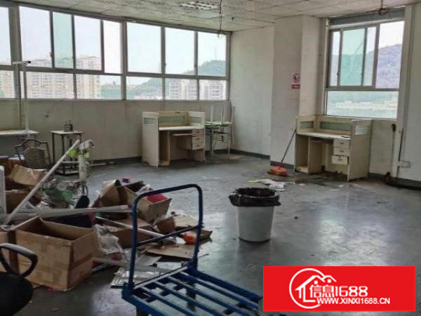 出租光明白花丽霖工业园350平米厂房