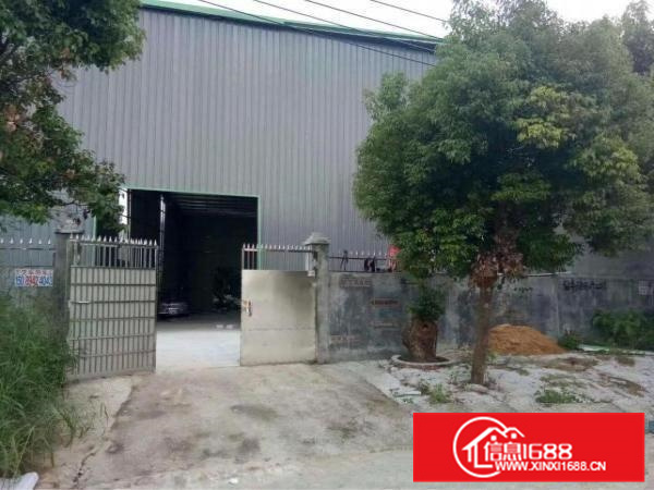 秋长全新单一层独门独院1000平交通方便可做污染