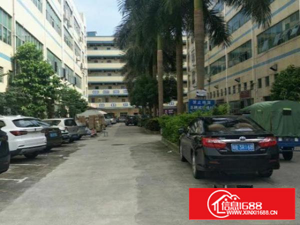 九围全新装修一楼650平厂房