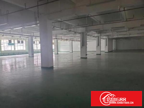 寮步标准厂房一楼2700平方，交通非常便利