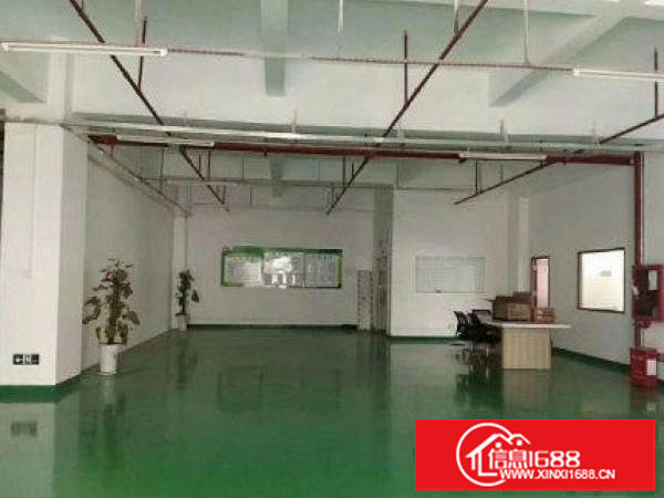 新出楼上500平带装修厂房出租面积实在公摊小