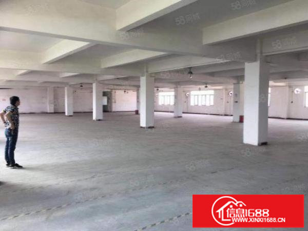 上木古原房东200平500平800平1000平厂房招租可分租