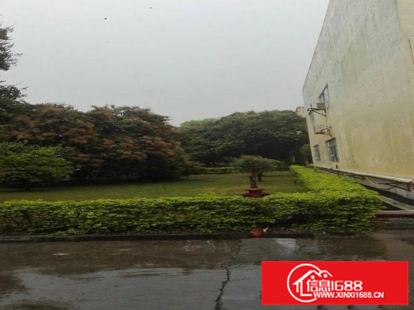 六米高标准一楼1630平米原业主厂房出租