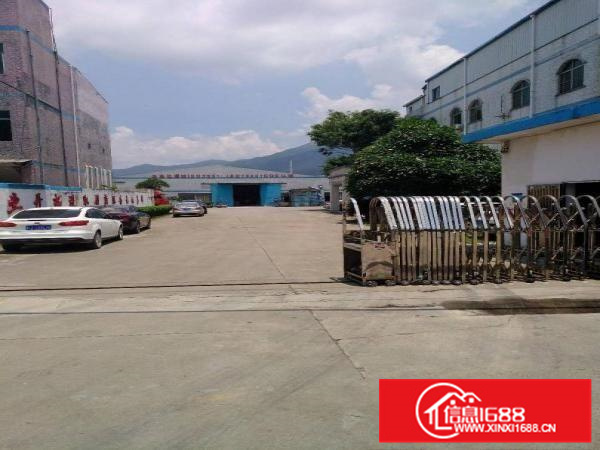 新圩高速路口单一层厂房1200平方出租，原房东厂房