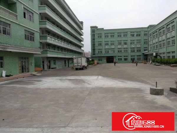 惠阳新圩原业主独院标准厂房13000平米出租