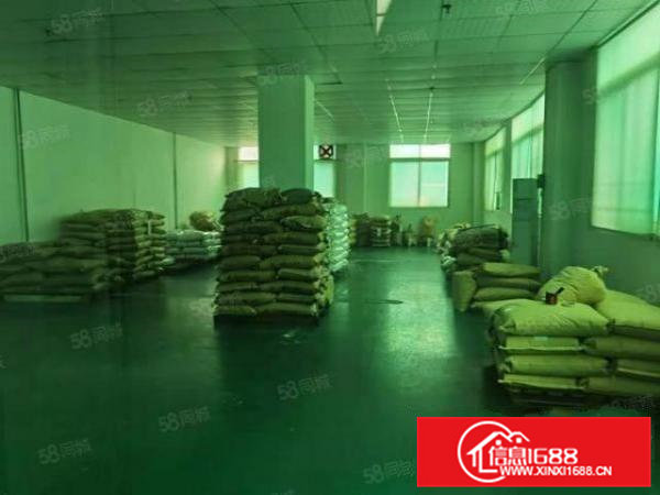 石排标准厂房分租2楼580方出租，精装办公室，现成水电！