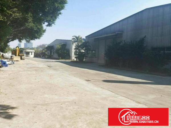 惠阳秋长白石新出钢构独院2600平米业主急租