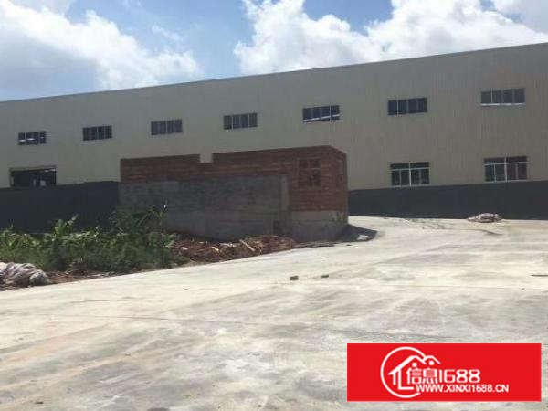 万江环城路边全新独院单一层厂房仓库4300平方出租