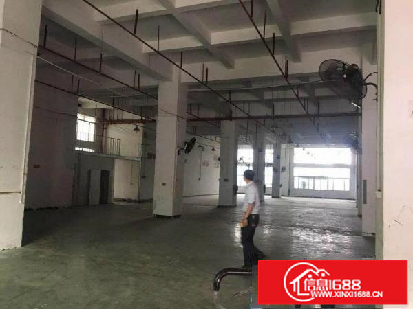 坪山新区坑梓新出红本标准厂房1500平米业主急租