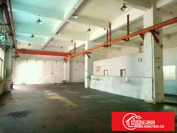 凤岗雁田新出一楼750标准厂房