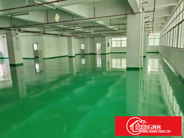 原房东精装修厂房招租共2万平300平起租17元起仓库分租合租