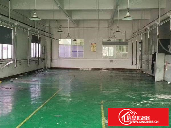 （可办环评）大岭山原房东6米高1500平标准独门独院厂房出租