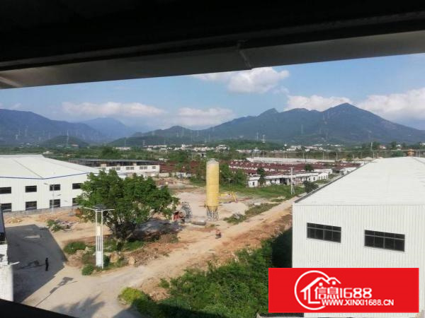 惠东稔山钢构厂房租10元厂房两万平空地一万可办环