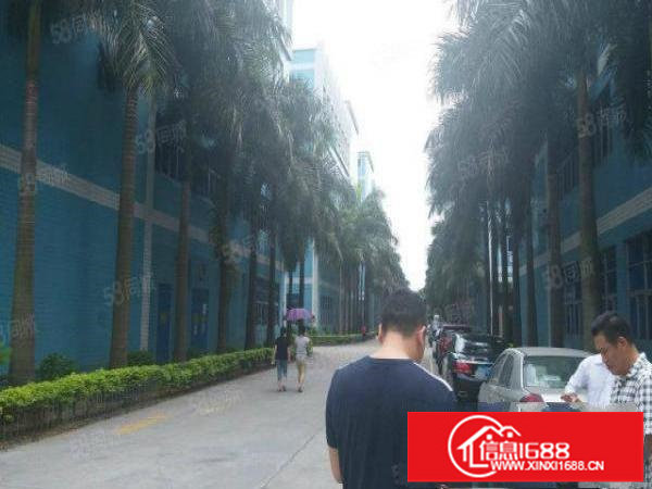 横岗六约产业园300平米起分共900平带装修