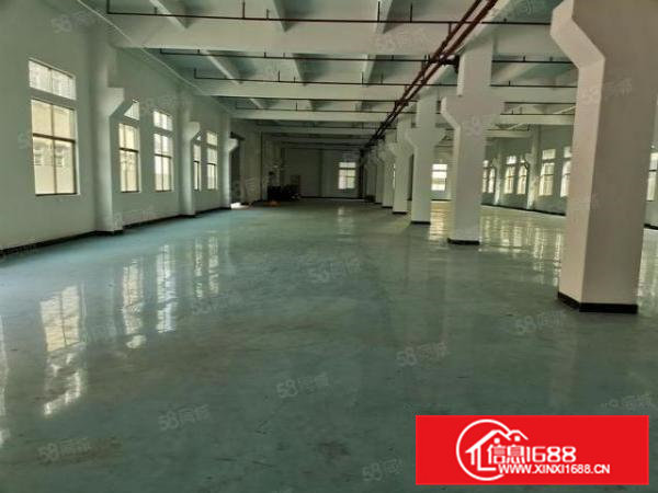 常平原房东一楼1800平带牛角水电齐全厂房出租，可分租！