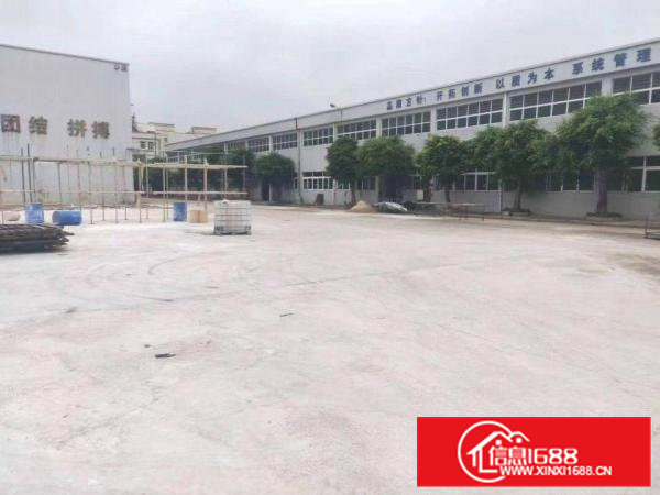 石排原房东独院6000平方米单一层钢构厂房急租