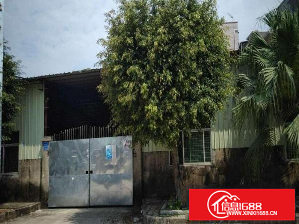 凤岗油甘埔铁工业路皮钢构厂房出租880平米7米高带办公室