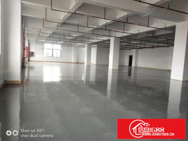 平湖富民工业区9200平米招租，每层2300平米，可分租，