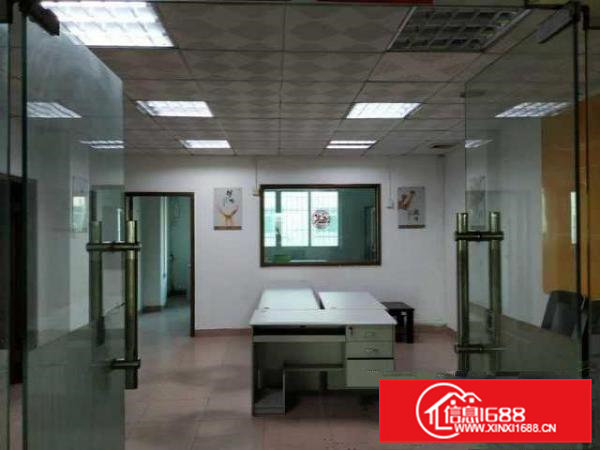 办公室招租横坑横西6路20