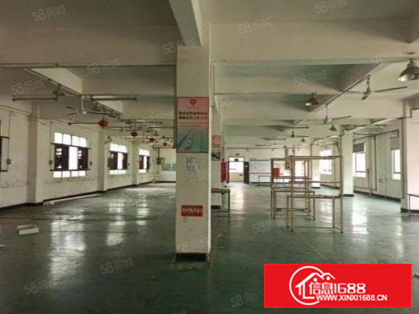 樟木头新出独院四层半3200平方厂房