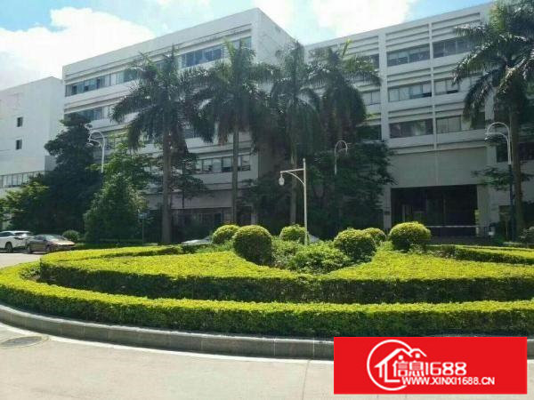 横岗六约沃尔玛附近楼上1680平红本厂房出租