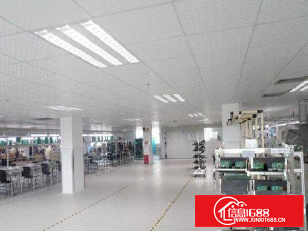 常平陈屋贝6000平独院厂房招租(可分租)