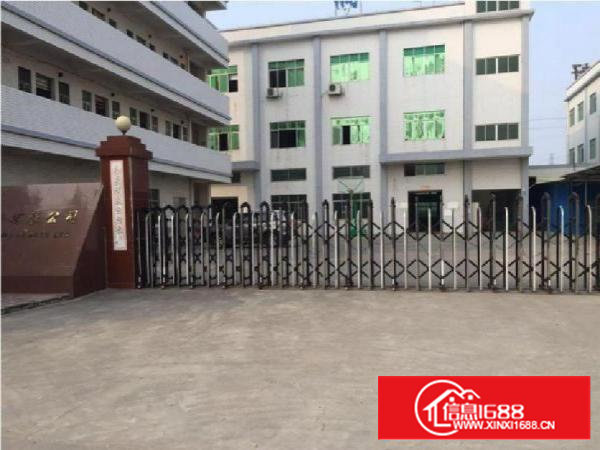 石岩标准厂房一楼600二楼1000带装修招租