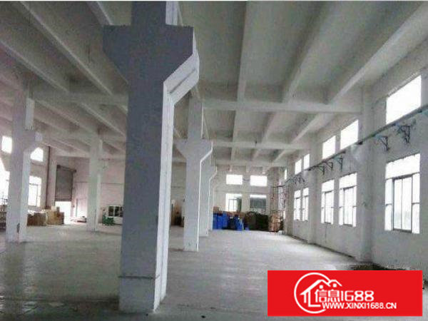 龙岗区同乐新出一楼800平厂房招租