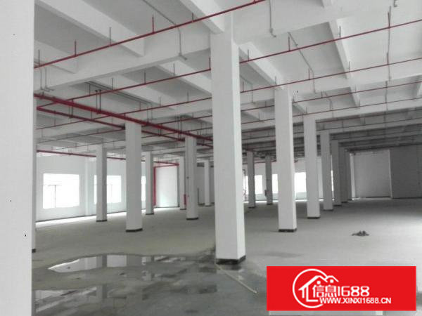 全新标准重工厂房四层2650平米/层可分租