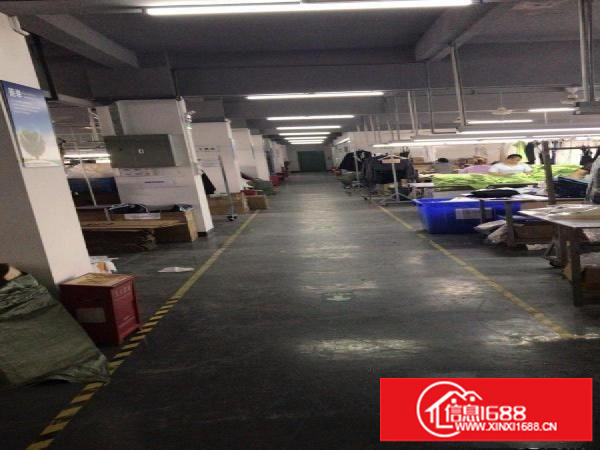 龙岗区横岗六约金泉4路一号厂房二楼
