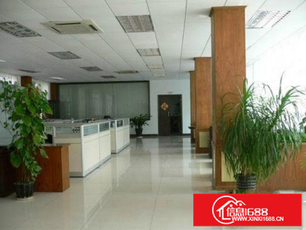 茶山镇新出二层独院厂房总面积2900平方出租