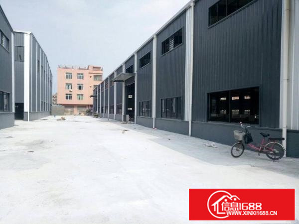 常平全新钢构厂房3800平米火热招募中中