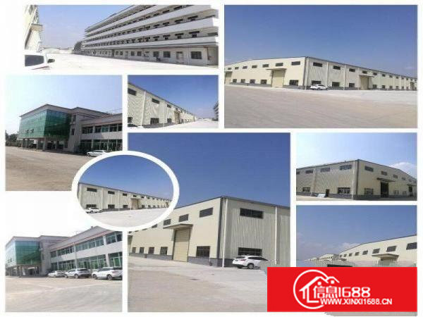 桥头独院单一层10米高钢构带牛角6万平方出租可分租