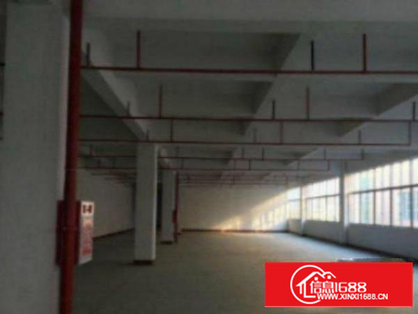 高埗环城路外标准厂房分租楼上2、3楼2000平出租适合做电子