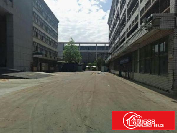 万江1000平米一楼标准厂房出租，水电齐全消防等设施齐