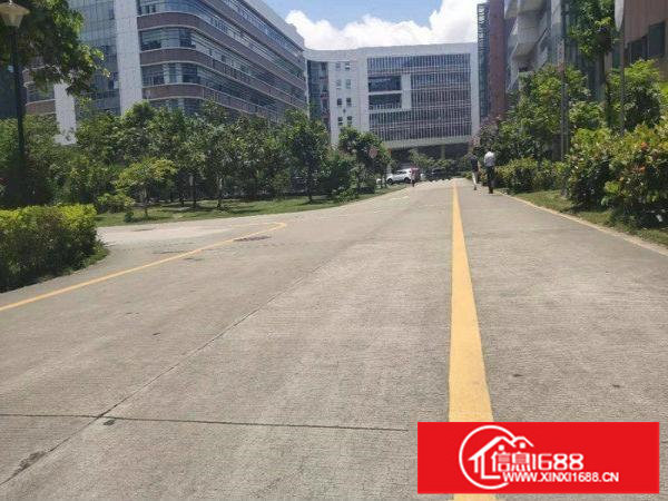 哇！好靓！花园式的环境！坪山大工业区全新1000平厂房招租！