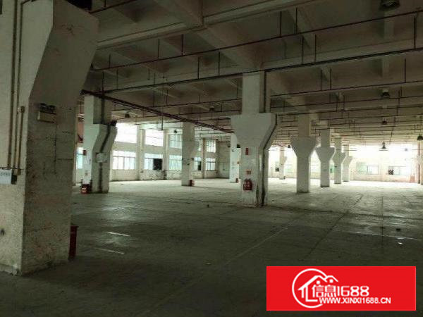 沙湖红本独栋现有1.2万平米1-3楼厂房：4000平/层